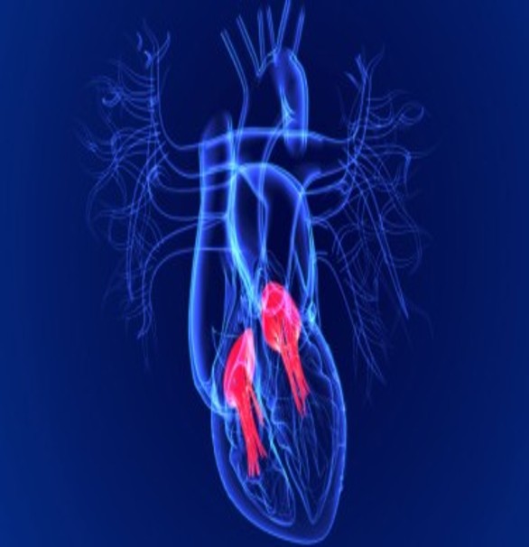 doctor-image