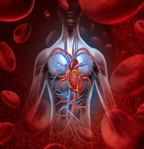 heart-image